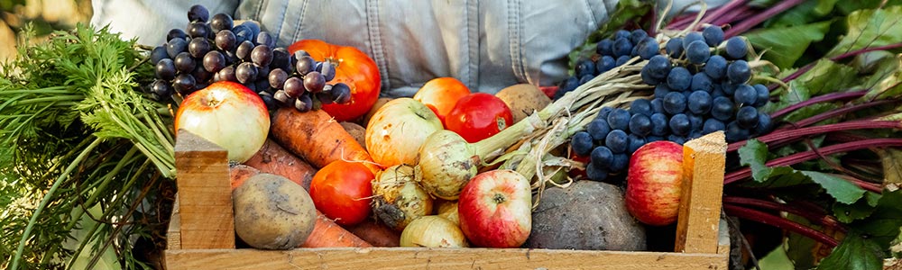 local farmer holding a create of local produce fruit and vegetables